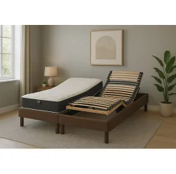 Essenzia Zen Literie électrique Ensemble DETENTE marron - Classic ressorts 2x80x200 Ressorts Best