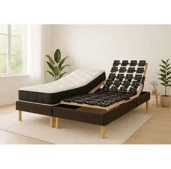 Essenzia Zen Literie électrique Ensemble VITALITE - Classic ressorts 2x90x200 Ressorts