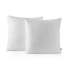 Naturalex Lot 2 Oreillers 60x60 cm - Tissu Doux Aloe-Vera - Rembourrage copeaux de mousse HR - Mantien Souple