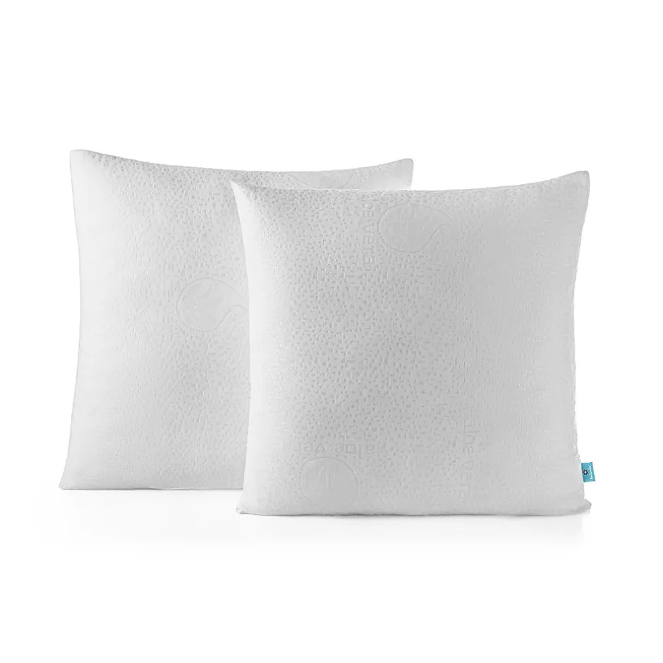 Naturalex Lot 2 Oreillers 60x60 cm - Tissu Doux Aloe-Vera - Rembourrage copeaux de mousse HR - Mantien Souple