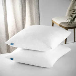 Naturalex Lot 2 Oreillers 60x60 cm - Tissu Doux Aloe-Vera - Rembourrage copeaux de mousse HR - Mantien Souple