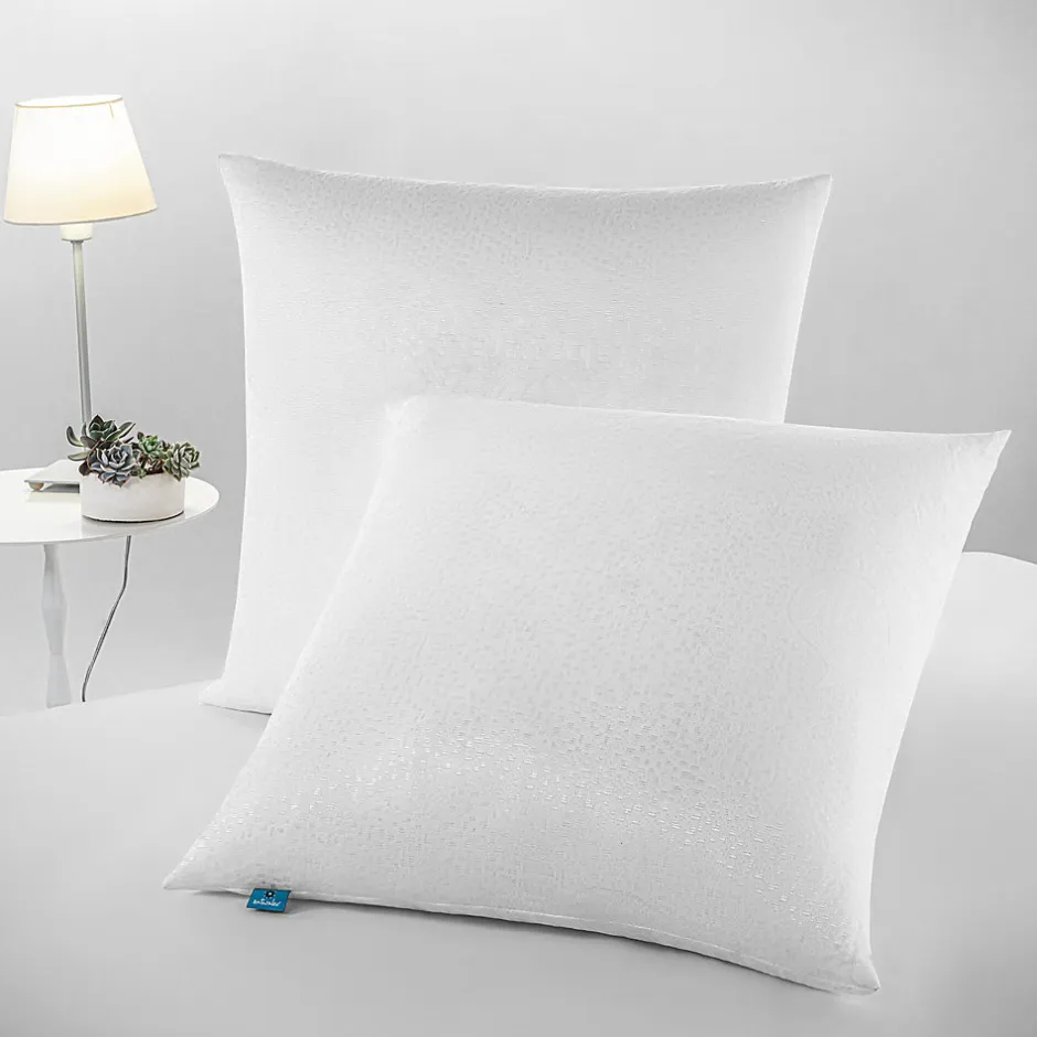 Naturalex Lot 2 Oreillers 60x60 cm - Tissu Doux Aloe-Vera - Rembourrage copeaux de mousse HR - Mantien Souple