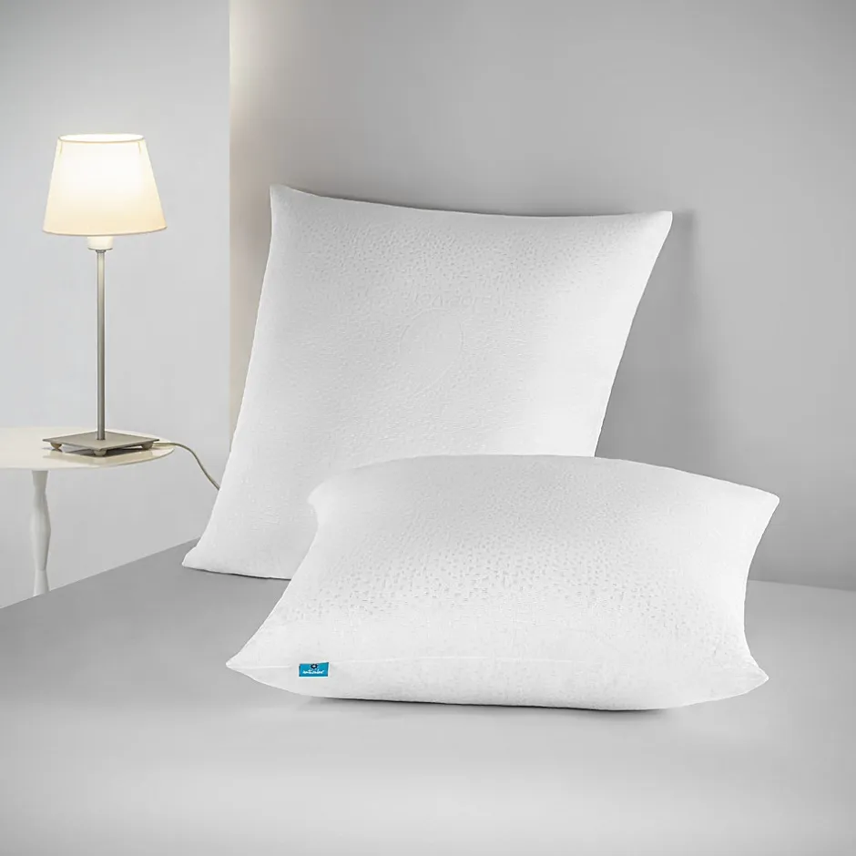 Naturalex Lot 2 Oreillers 60x60 cm - Tissu Doux Aloe-Vera - Rembourrage copeaux de mousse HR - Mantien Souple