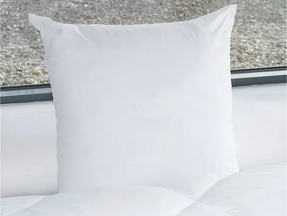 Vente-unique Lot de 2 oreillers - 60 x 60 cm de DREAMEA - 600 gr - MARIN Sale