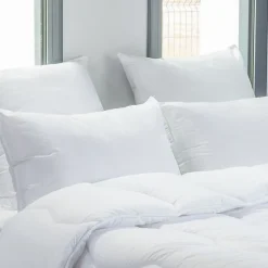 Blanreve Lot de 2 oreillers 45 x 70 cm Blanrêve Gamme