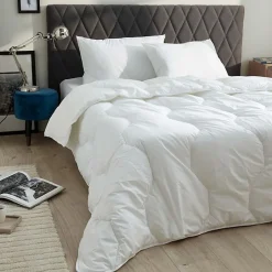 Blanreve Lot de 2 oreillers 45 x 70 cm Blanrêve Gamme