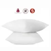 Abeil Lot de 2 oreillers anti-acariens - 60 x 60 cm - 100% coton traité Bio -