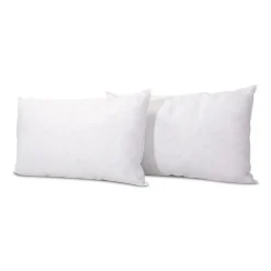 Bellecour Lot de 2 oreillers Chambord 45x70 cm Duvet & Plumes