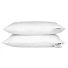 Homescapes Lot de 2 oreillers en plumes et duvet d'oie, 50 x 75 cm -