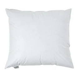 Homescapes Lot de 2 oreillers en plumes et duvet d'oie, 60 x 70 cm -