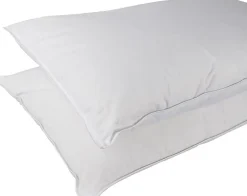 Homescapes Lot de 2 oreillers en soie de mûriers, 50 x 75 cm - Online
