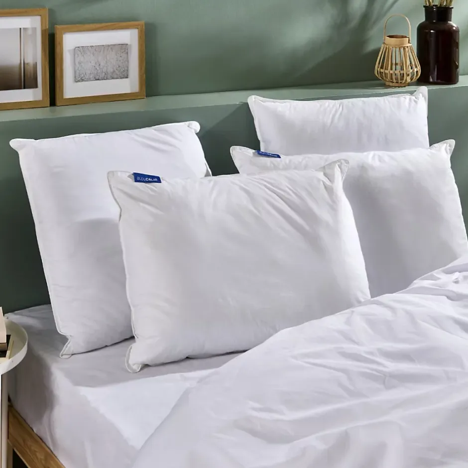 Bleu Calin Lot de 2 Oreillers Ferme 50x70cm Outlet