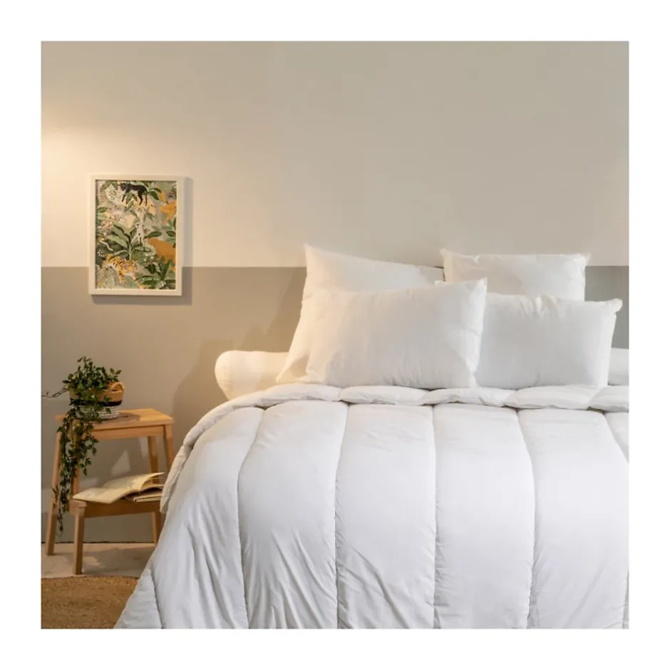 Bleu Calin Lot de 2 Oreillers Ferme 60x60cm ANTI-ACARIENS New