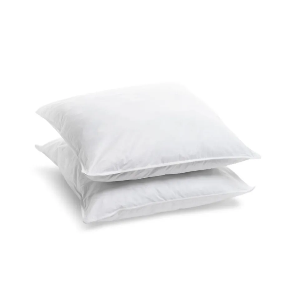 Bleu Calin Lot de 2 Oreillers Ferme 65x65cm