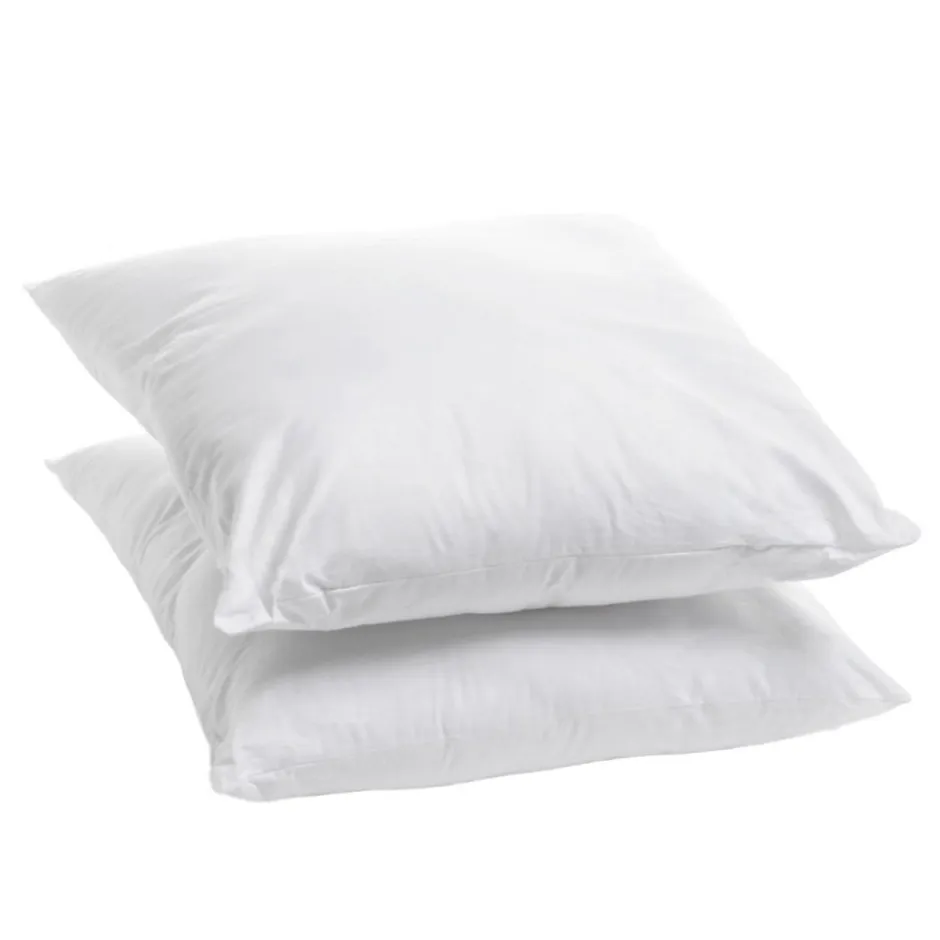 Bleu Calin Lot de 2 Oreillers Ferme 60x60cm COTON BIO