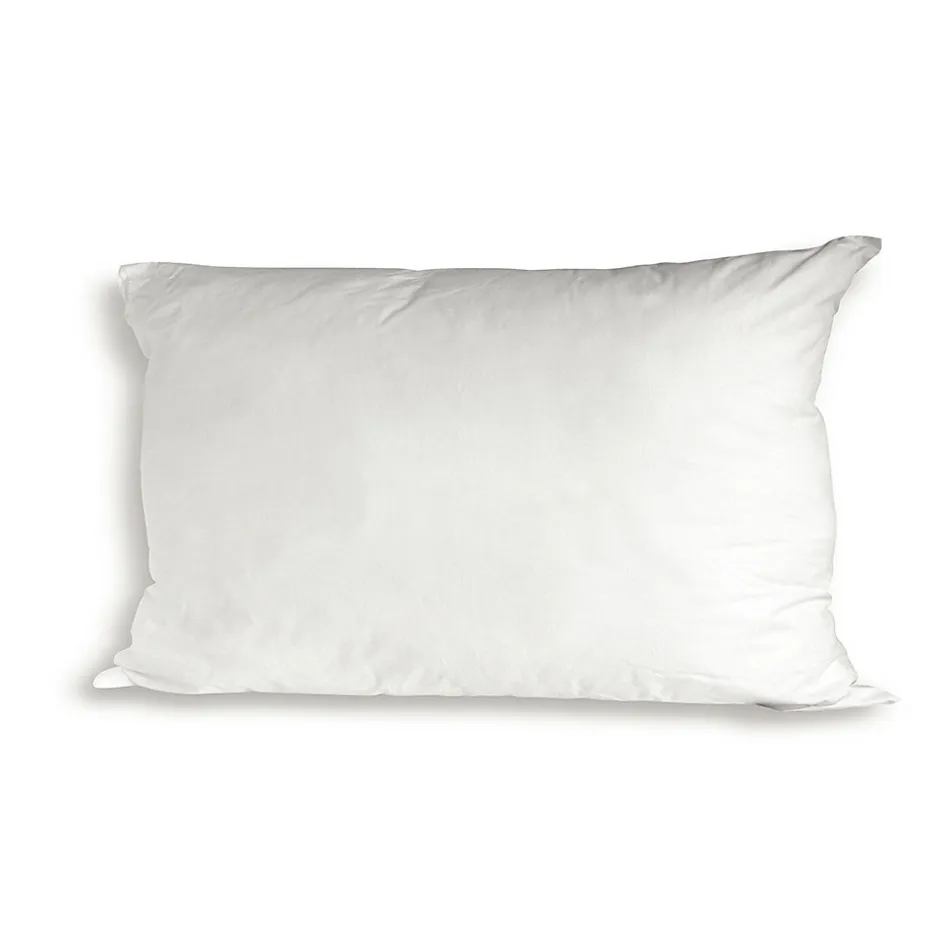 Bellecour Lot de 2 oreillers Luxotel 40x60 cm Fibres creuses polyester