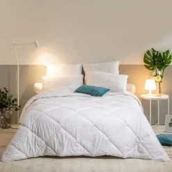 Bleu Calin Lot de 2 Oreillers Mémoire de Forme Mixte ANTI-ACARIENS 60x60cm Discount