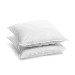 Bleu Calin Lot de 2 Oreillers Mémoire de Forme Mixte ANTI-ACARIENS 60x60cm Discount