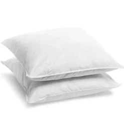 Bleu Calin Lot de 2 Oreillers Mémoire de Forme Mixte 60x60cm