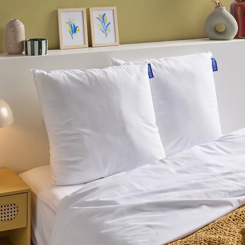 Bleu Calin Lot de 2 Oreillers Moelleux 60x60cm COTON BIO Clearance