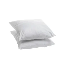 Bleu Calin Lot de 2 Oreillers Moelleux 60x60cm Anti punaises DE LIT