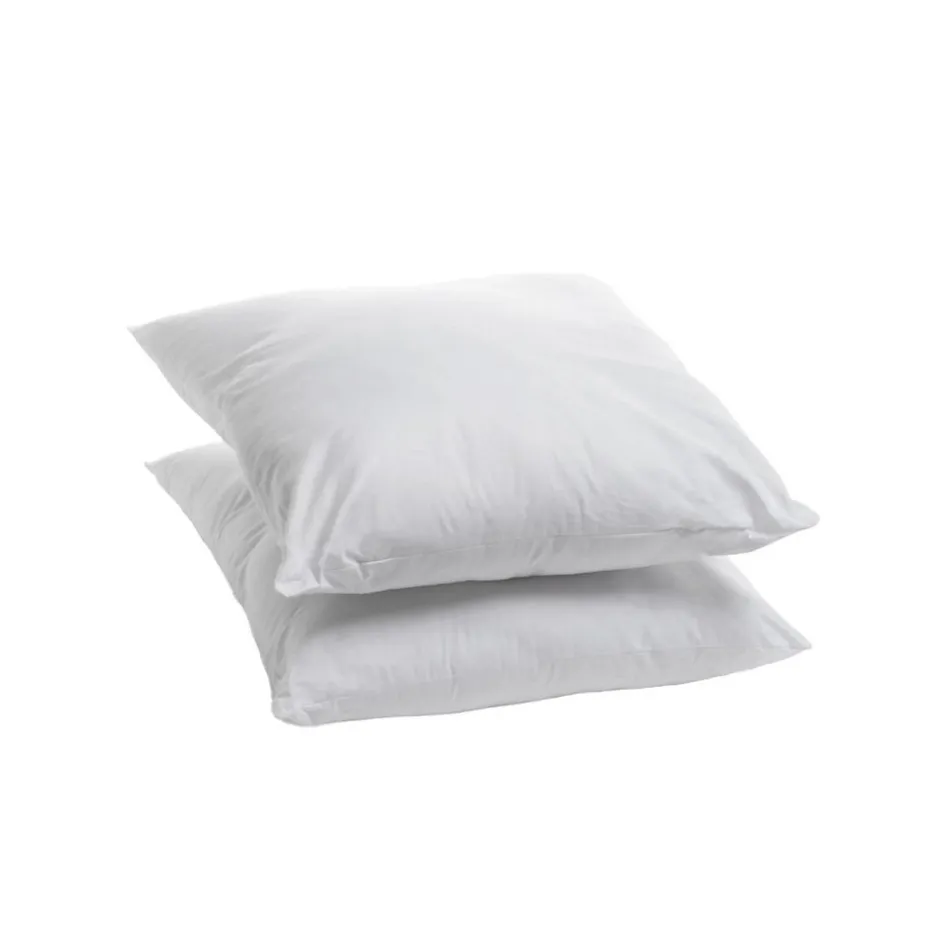 Bleu Calin Lot de 2 Oreillers Moelleux 60x60cm Anti punaises DE LIT