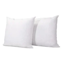 Olympe Literie Lot de 2 oreillers Natura 65x65 cm Duvet & Plumess
