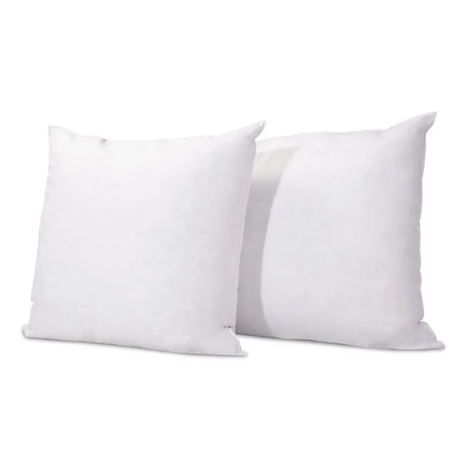 Olympe Literie Lot de 2 oreillers Natura 65x65 cm Duvet & Plumess