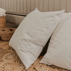 Olympe Literie Lot de 2 oreillers Natura 65x65 cm Duvet & Plumess