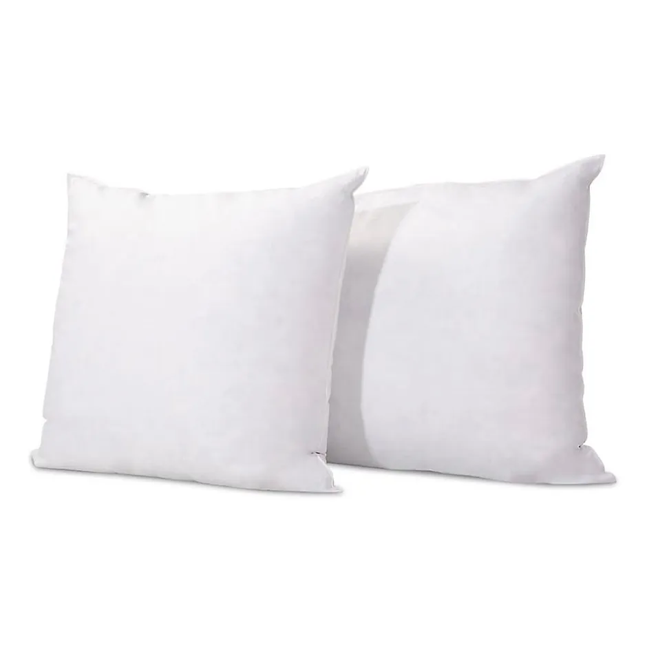 Olympe Literie Lot de 2 oreillers Natura 60x60 cm Duvet & Plumess