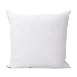 Olympe Literie Lot de 2 oreillers Natura 60x60 cm Duvet & Plumess