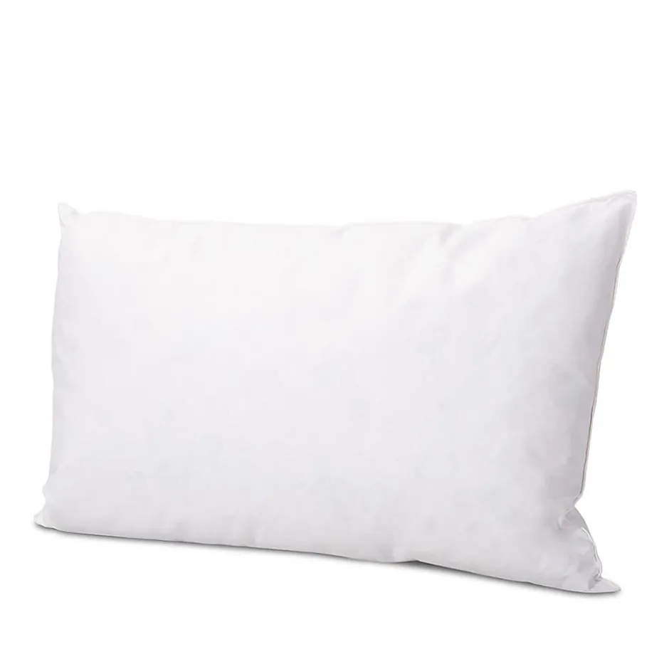Olympe Literie Lot de 2 oreillers Natura 45x70 cm Duvet & Plumess New