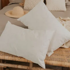 Olympe Literie Lot de 2 oreillers Natura 45x70 cm Duvet & Plumess New