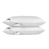 Homescapes Lot de 2 oreillers naturels en plumes et duvet de canard, 50 x 75 cm - Outlet