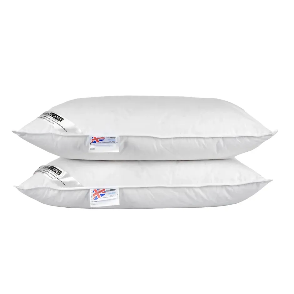 Homescapes Lot de 2 oreillers naturels en plumes et duvet de canard, 50 x 75 cm - Outlet