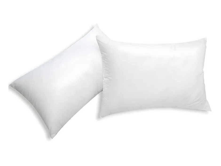 Vente-unique Lot de 2 oreillers recyclés 45 x 70 cm de DREAMEA - Enveloppe 100% microfibre - ROSA