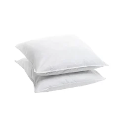 Bleu Calin Lot de 2 oreillers Souple 65x65cm SENSATION DUVET Gonflant