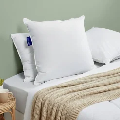 Bleu Calin Lot de 2 oreillers Souple 65x65cm SENSATION DUVET Gonflant