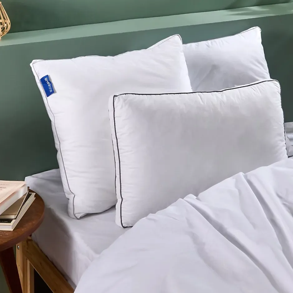 Bleu Calin Lot de 2 oreillers Souple 50x70cm SENSATION DUVET PREMIUM Gonflant Discount