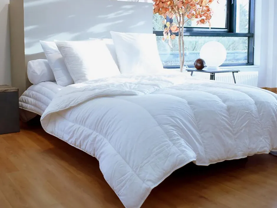 Vente-unique Lot de 2 oreillers traitement anti-acariens naturel Greencare - 60 x 60 cm - 550 gr - Blanc - coton - AZYLIA Discount