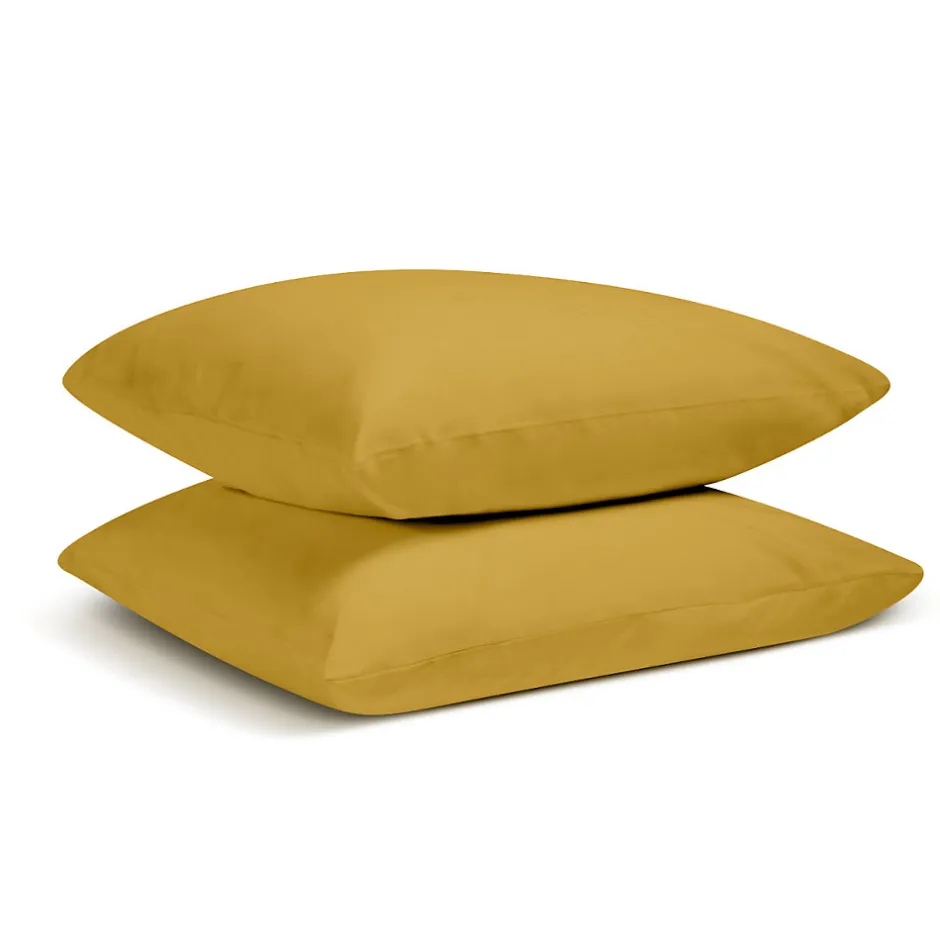 Bleu Calin Lot de 2 Taies d'oreiller unies 50x75cm PERCALE MOUTARDE