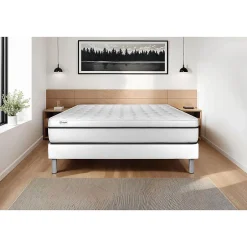 Vitalit Matelas Mousse polyuréthane à mémoire de forme - Confort : Ferme Best