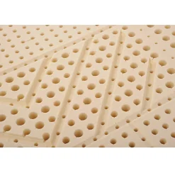 Essenzia Matelas MORPHOZONE 180 110x220 Latex