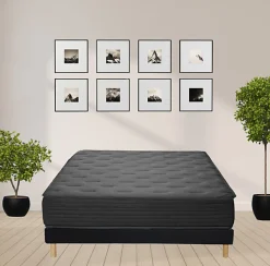 Essenzia Matelas SPRING 600 SOFT 160x200 Ressorts