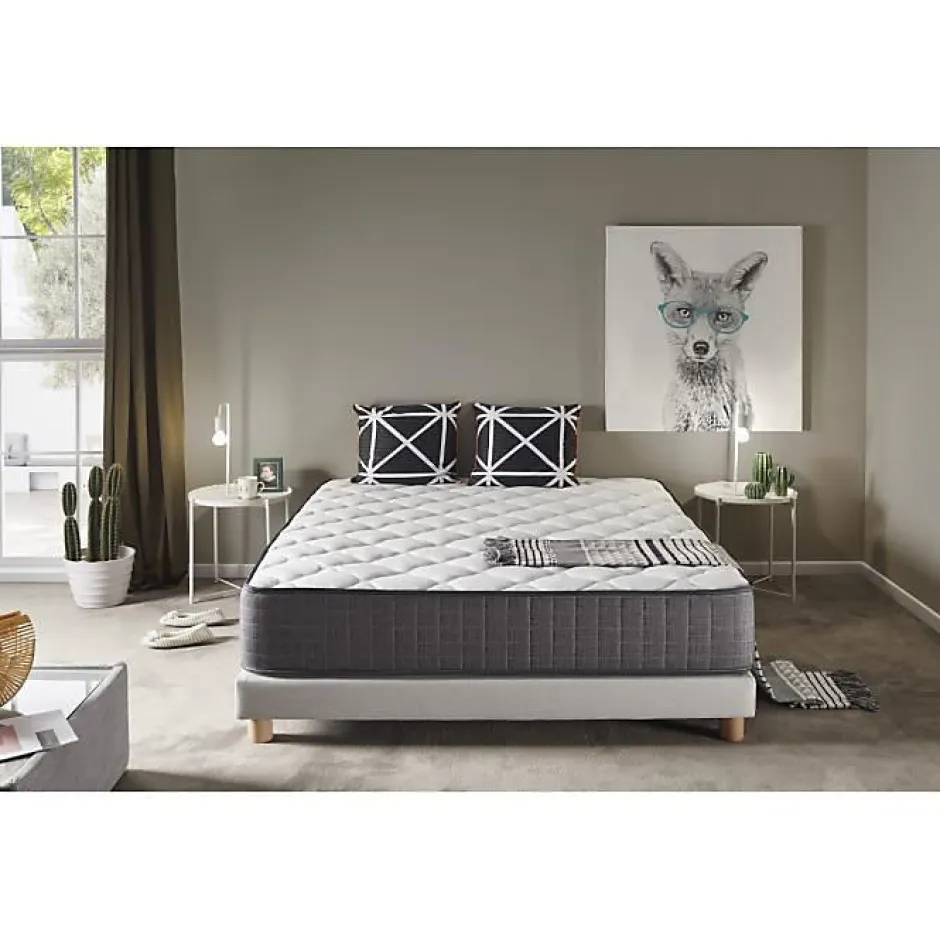 Eccox Matelas 105x190 cm en Mousse à Mémoire de Biothérapie epaisseur 30 cm +/-2 Fermeté moyenne-élevée. Online