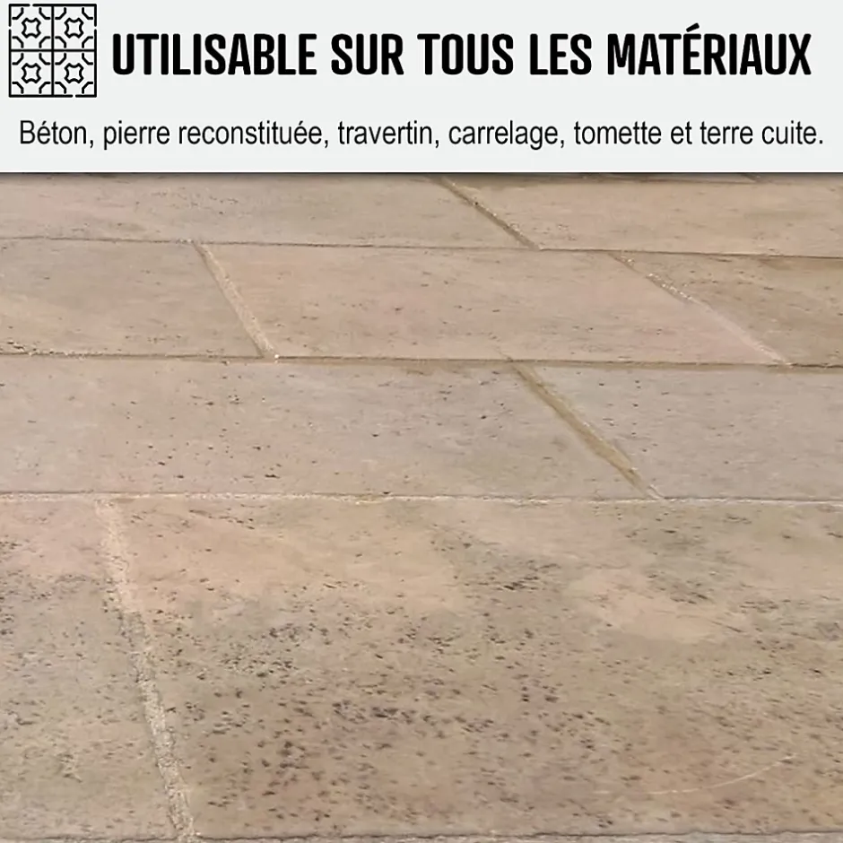 Arcane Industries Nettoyant terrasse professionnel rapide pavé autobloquant pierre béton - 200 L - Clearance