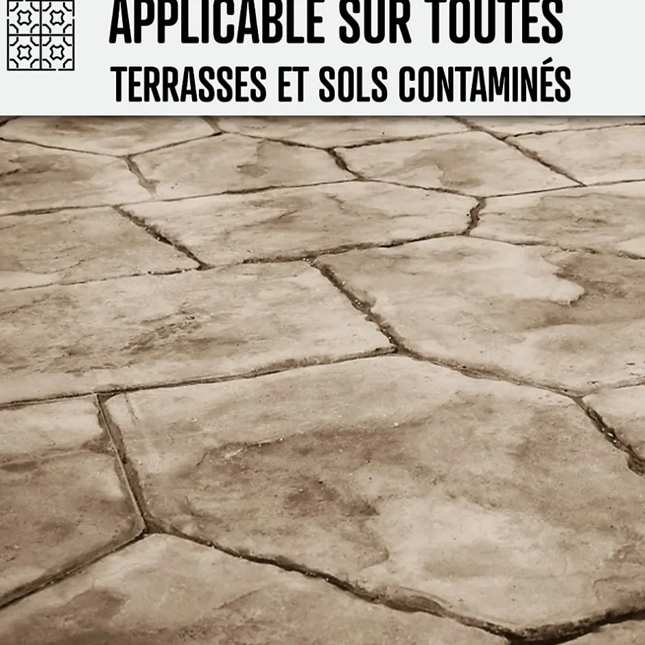 Arcane Industries Nettoyant terrasse professionnel rapide pavé autobloquant pierre béton - 5 L -