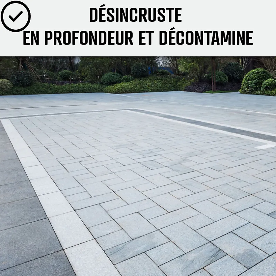 Arcane Industries Nettoyant terrasse professionnel rapide pavé autobloquant pierre béton - 5 L -
