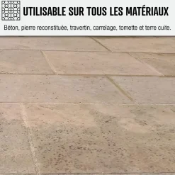 Arcane Industries Nettoyant terrasse professionnel rapide pavé autobloquant pierre béton - 20 L -