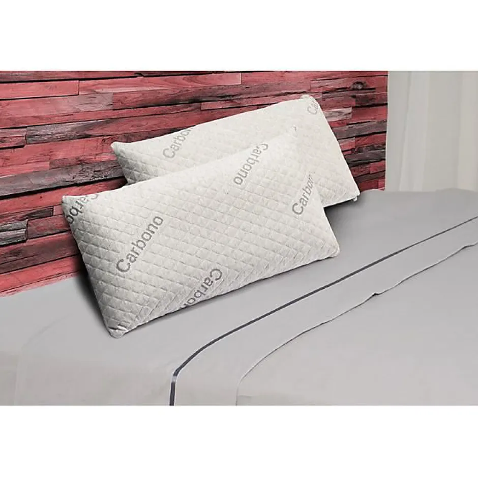 Eccox Oreiller - - Carbone - 60 x 40 cm - Fermeté moyenne - Housse amovible Hot